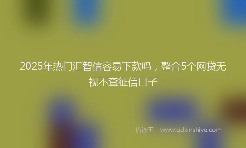 2025年热门汇智信容易下款吗，整合5个网贷无视不查征信口子