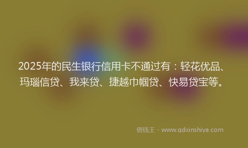 2025年的民生银行信用卡不通过有：轻花优品、玛瑙信贷、我来贷、捷越巾帼贷、快易贷宝等。