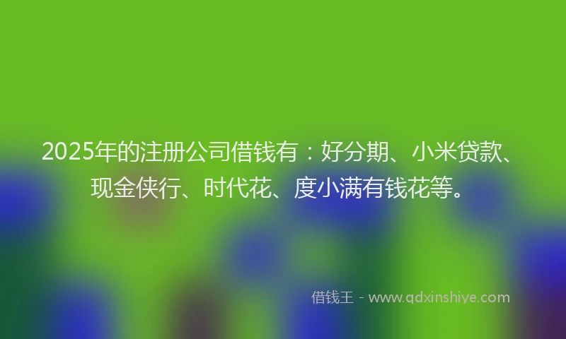 2025年的注册公司借钱有：好分期、小米贷款、现金侠行、时代花、度小满有钱花等。