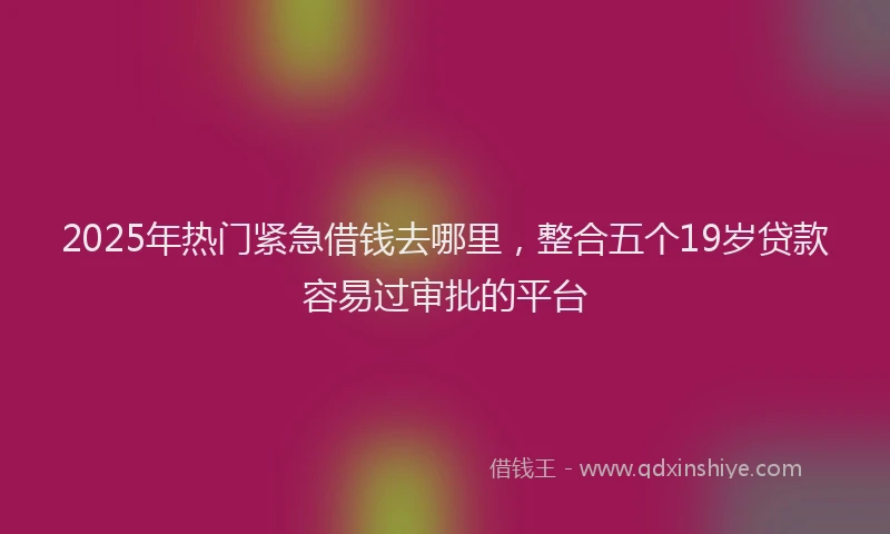 2025年热门紧急借钱去哪里，整合五个19岁贷款容易过审批的平台