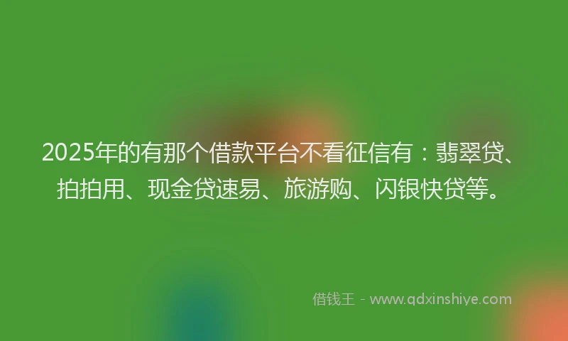 2025年的有那个借款平台不看征信有：翡翠贷、拍拍用、现金贷速易、旅游购、闪银快贷等。