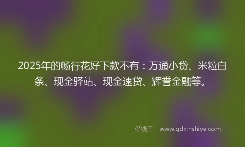 2025年的畅行花好下款不有：万通小贷、米粒白条、现金驿站、现金速贷、辉誉金融等。