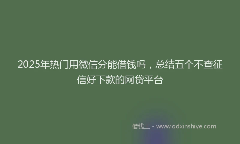 2025年热门用微信分能借钱吗，总结五个不查征信好下款的网贷平台