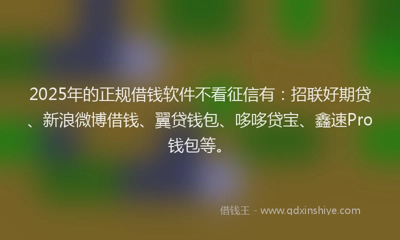2025年的正规借钱软件不看征信有：招联好期贷、新浪微博借钱、翼贷钱包、哆哆贷宝、鑫速Pro钱包等。