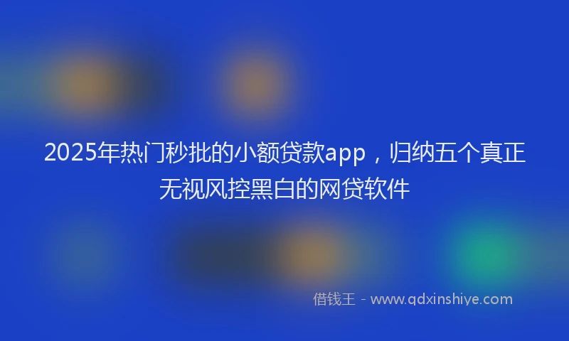 2025年热门秒批的小额贷款app，归纳五个真正无视风控黑白的网贷软件