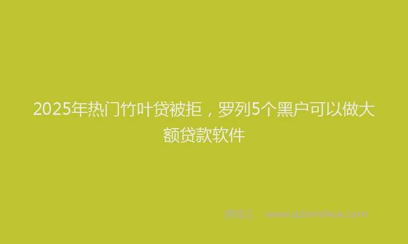 2025年热门竹叶贷被拒，罗列5个黑户可以做大额贷款软件