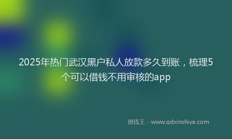 2025年热门武汉黑户私人放款多久到账，梳理5个可以借钱不用审核的app