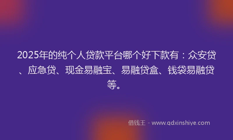 2025年的纯个人贷款平台哪个好下款有：众安贷、应急贷、现金易融宝、易融贷盒、钱袋易融贷等。