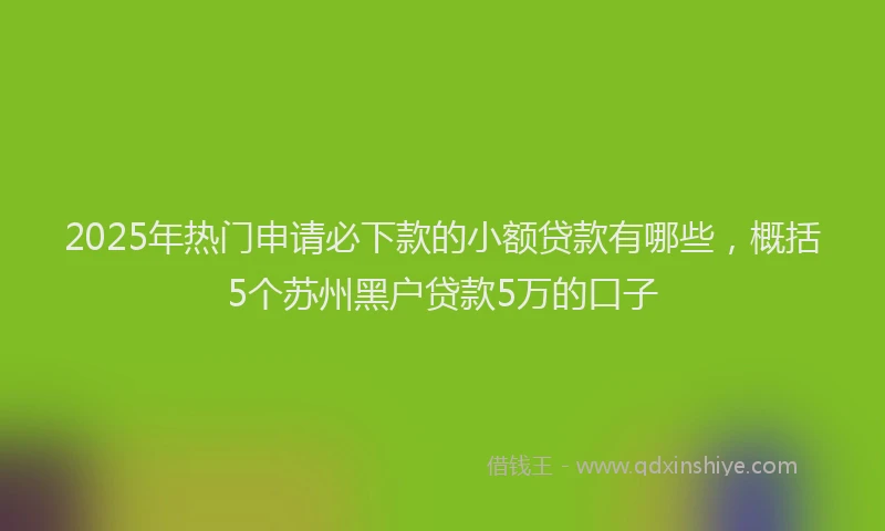 2025年热门申请必下款的小额贷款有哪些，概括5个苏州黑户贷款5万的口子