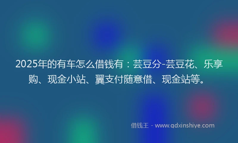 2025年的有车怎么借钱有：芸豆分-芸豆花、乐享购、现金小站、翼支付随意借、现金站等。