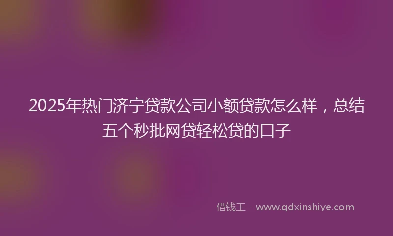 2025年热门济宁贷款公司小额贷款怎么样，总结五个秒批网贷轻松贷的口子
