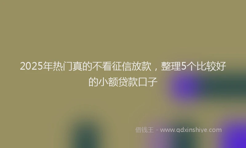 2025年热门真的不看征信放款，整理5个比较好的小额贷款口子
