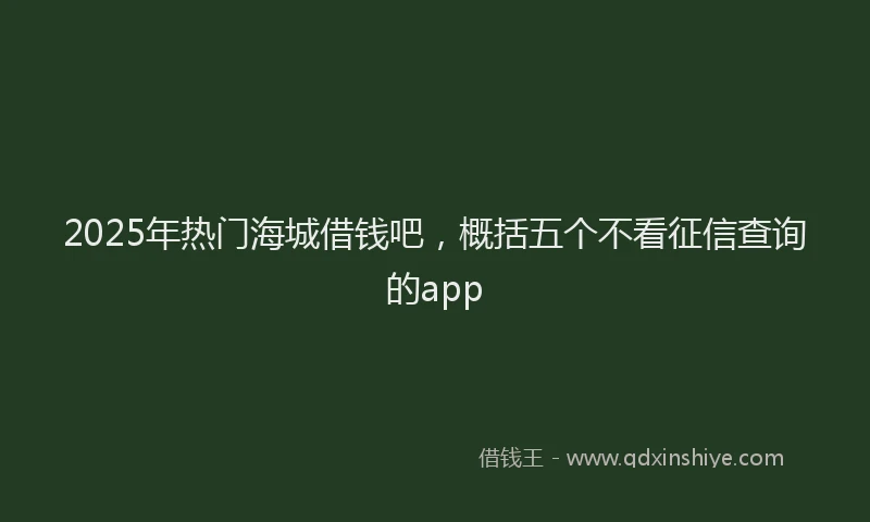 2025年热门海城借钱吧，概括五个不看征信查询的app
