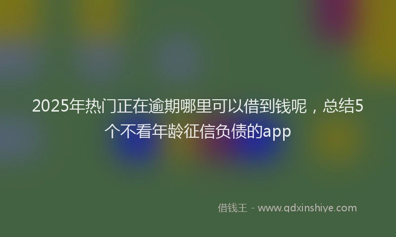 2025年热门正在逾期哪里可以借到钱呢，总结5个不看年龄征信负债的app