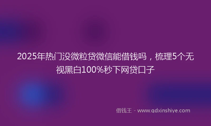 2025年热门没微粒贷微信能借钱吗，梳理5个无视黑白100%秒下网贷口子