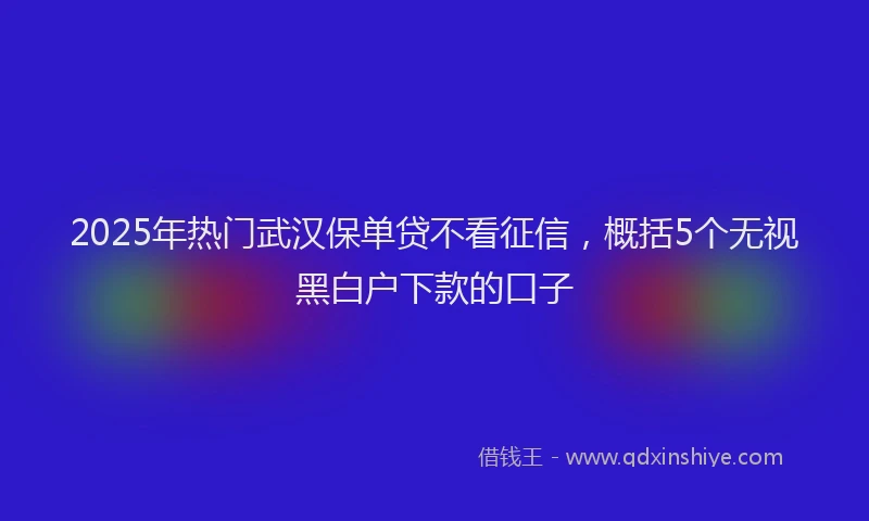 2025年热门武汉保单贷不看征信，概括5个无视黑白户下款的口子