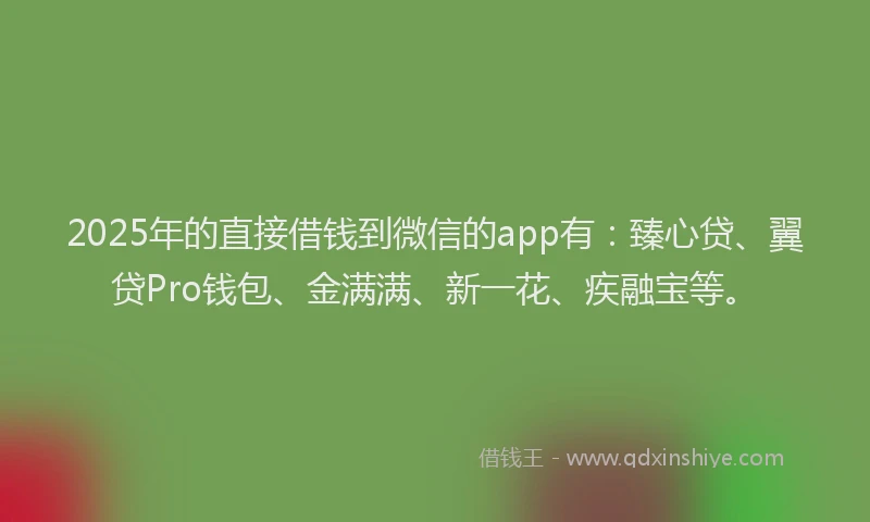 2025年的直接借钱到微信的app有：臻心贷、翼贷Pro钱包、金满满、新一花、疾融宝等。