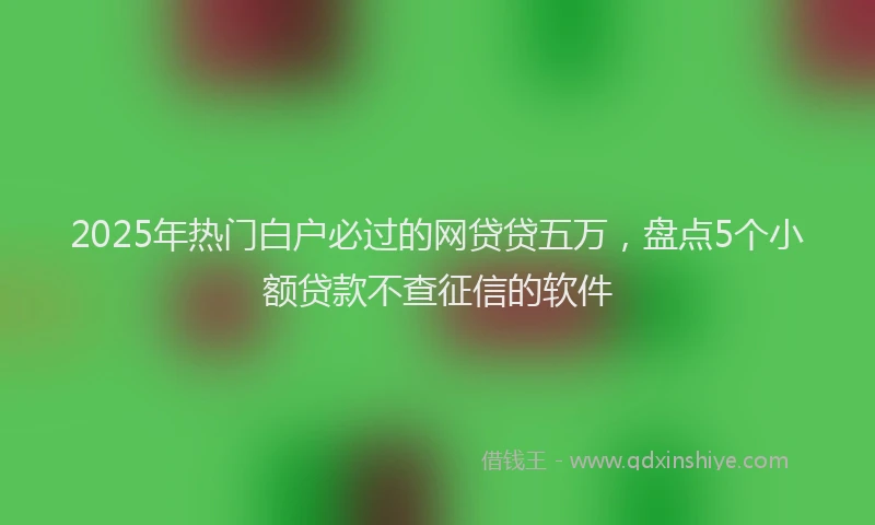 2025年热门白户必过的网贷贷五万，盘点5个小额贷款不查征信的软件