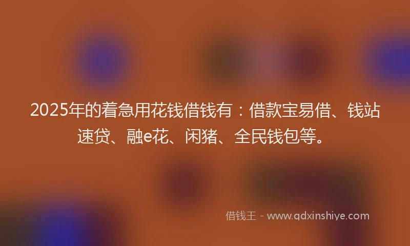 2025年的着急用花钱借钱有：借款宝易借、钱站速贷、融e花、闲猪、全民钱包等。