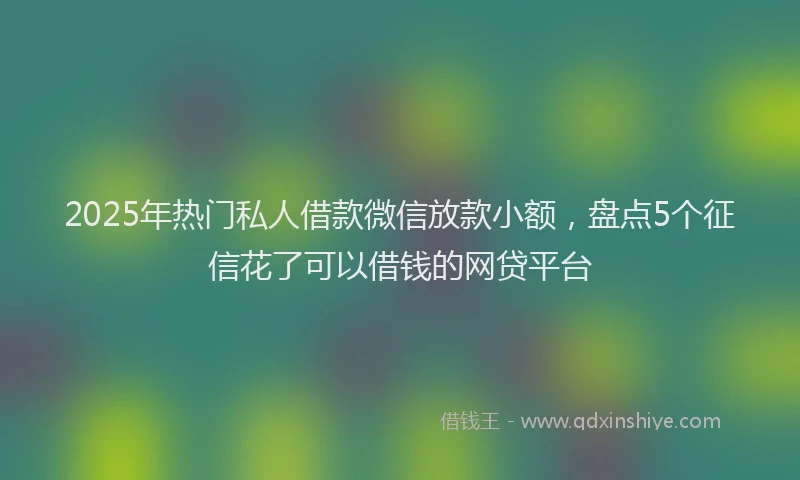 2025年热门私人借款微信放款小额，盘点5个征信花了可以借钱的网贷平台
