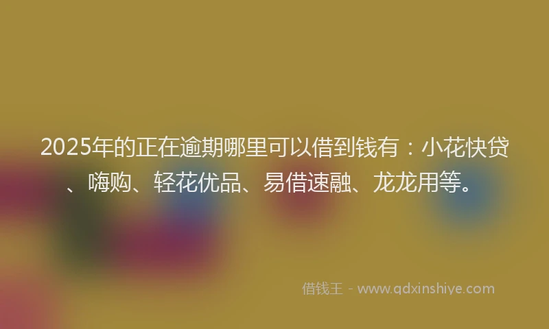 2025年的正在逾期哪里可以借到钱有：小花快贷、嗨购、轻花优品、易借速融、龙龙用等。