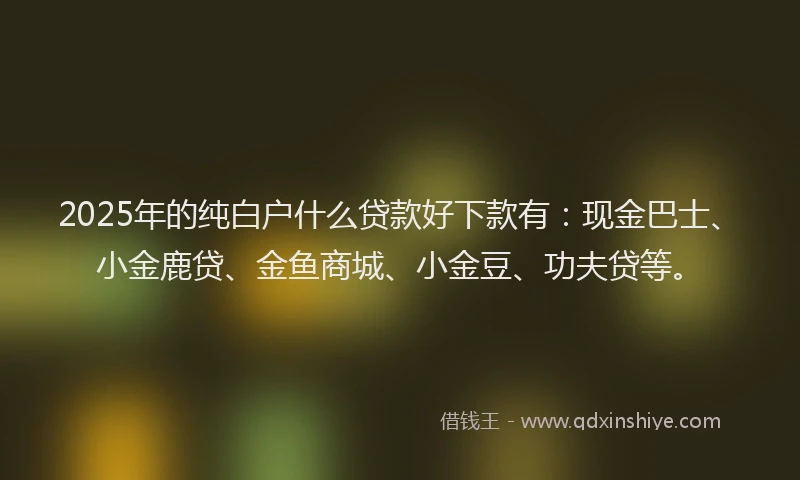 2025年的纯白户什么贷款好下款有：现金巴士、小金鹿贷、金鱼商城、小金豆、功夫贷等。