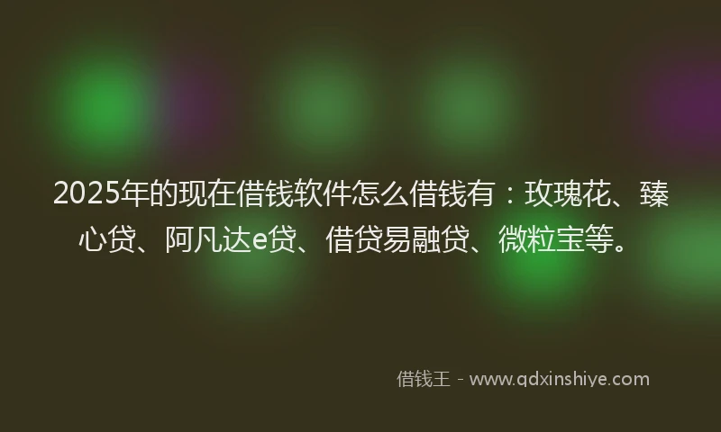 2025年的现在借钱软件怎么借钱有：玫瑰花、臻心贷、阿凡达e贷、借贷易融贷、微粒宝等。