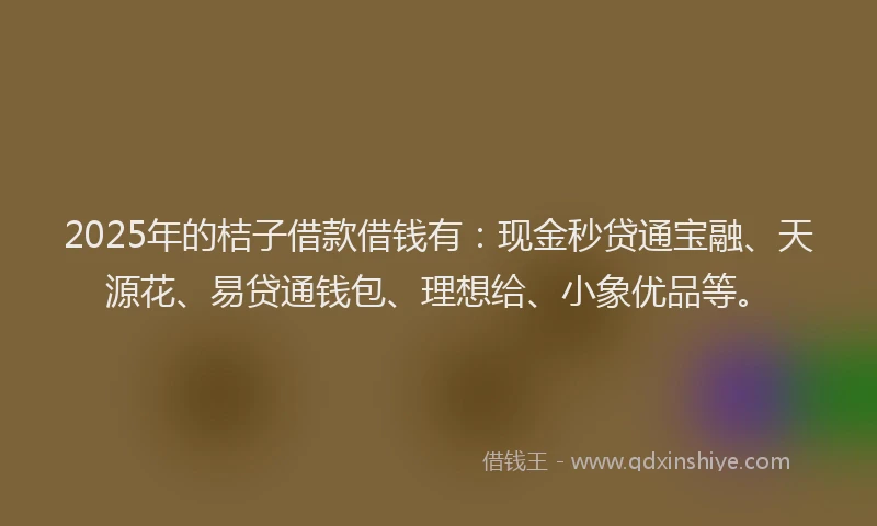 2025年的桔子借款借钱有：现金秒贷通宝融、天源花、易贷通钱包、理想给、小象优品等。