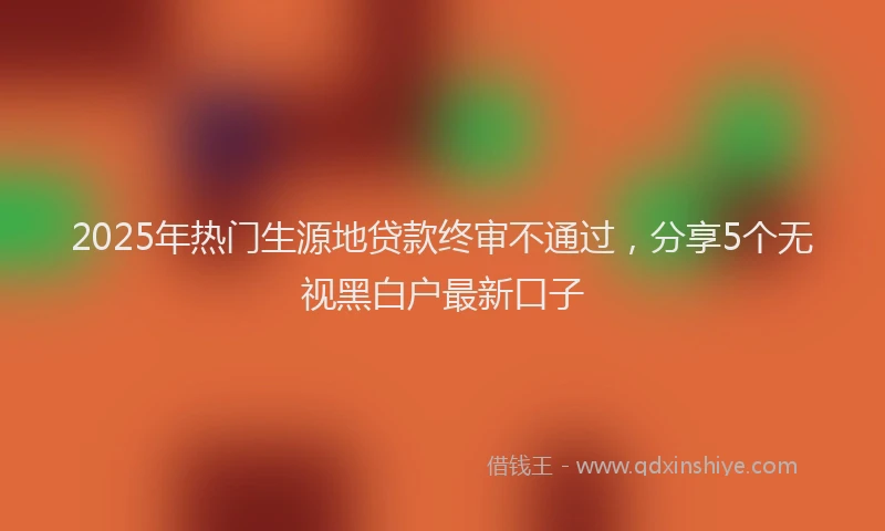 2025年热门生源地贷款终审不通过，分享5个无视黑白户最新口子
