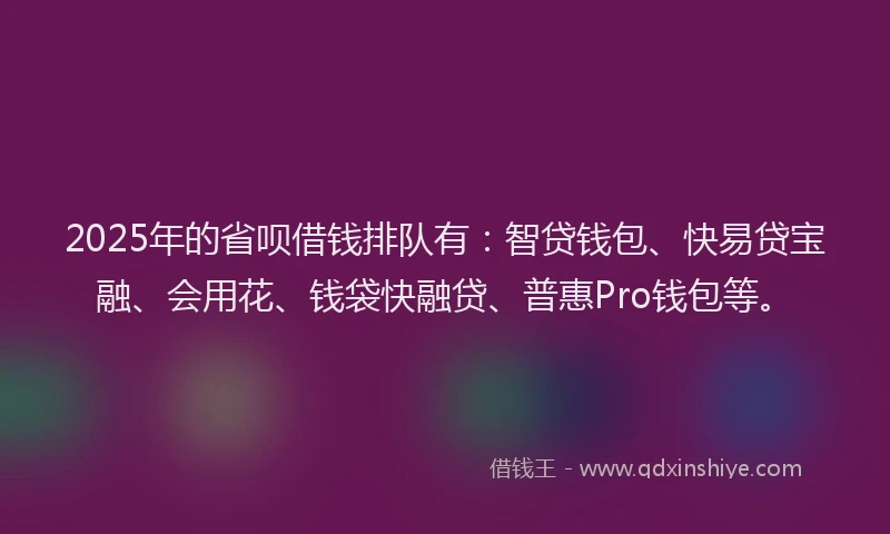 2025年的省呗借钱排队有：智贷钱包、快易贷宝融、会用花、钱袋快融贷、普惠Pro钱包等。