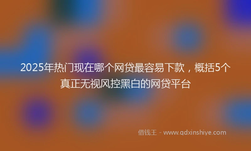 2025年热门现在哪个网贷最容易下款，概括5个真正无视风控黑白的网贷平台