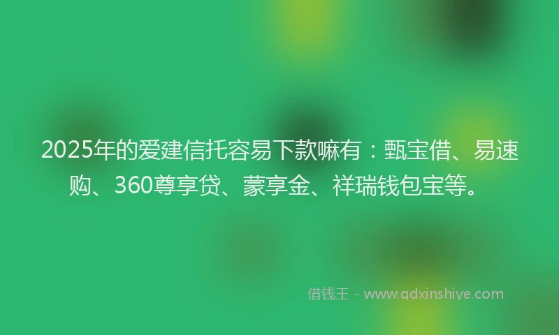 2025年的爱建信托容易下款嘛有：甄宝借、易速购、360尊享贷、蒙享金、祥瑞钱包宝等。