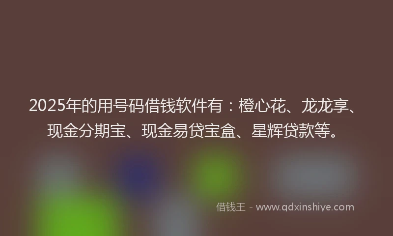 2025年的用号码借钱软件有：橙心花、龙龙享、现金分期宝、现金易贷宝盒、星辉贷款等。