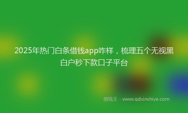 2025年热门白条借钱app咋样，梳理五个无视黑白户秒下款口子平台