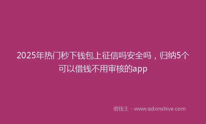2025年热门秒下钱包上征信吗安全吗，归纳5个可以借钱不用审核的app
