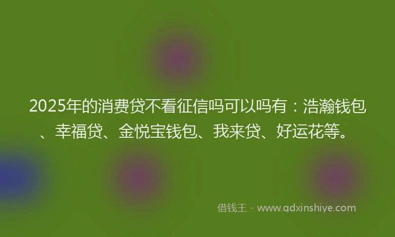2025年的消费贷不看征信吗可以吗有：浩瀚钱包、幸福贷、金悦宝钱包、我来贷、好运花等。