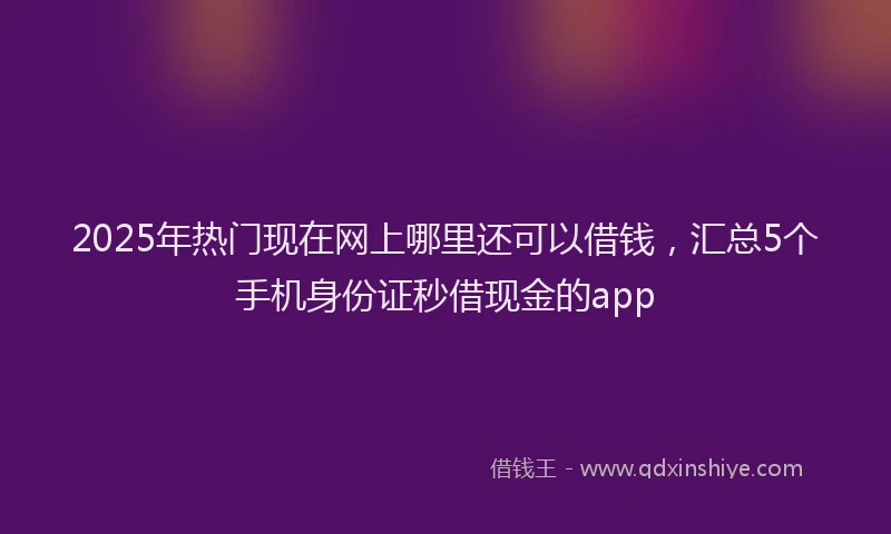 2025年热门现在网上哪里还可以借钱，汇总5个手机身份证秒借现金的app