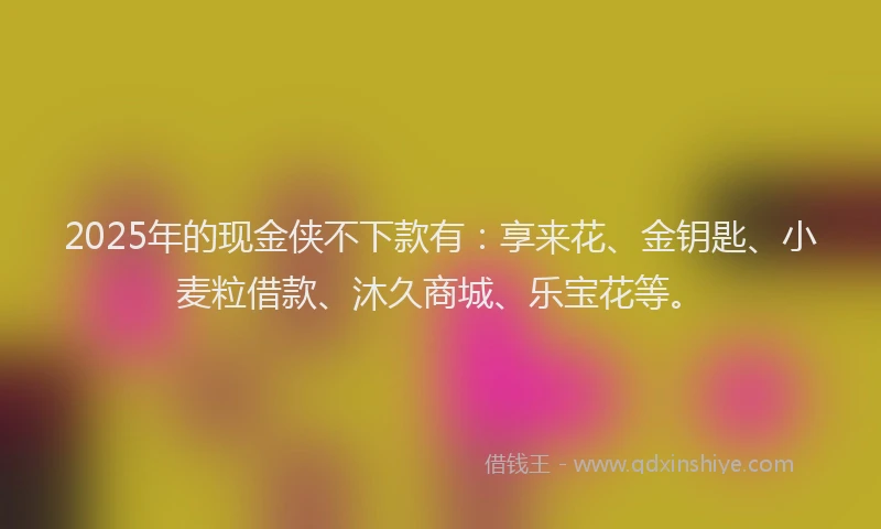 2025年的现金侠不下款有：享来花、金钥匙、小麦粒借款、沐久商城、乐宝花等。
