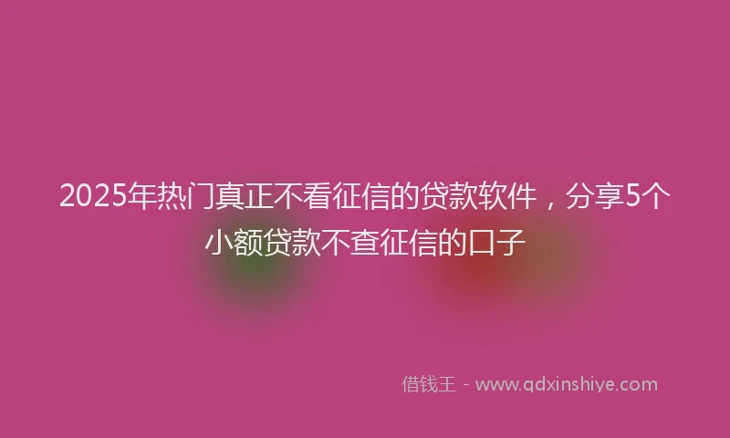 2025年热门真正不看征信的贷款软件，分享5个小额贷款不查征信的口子
