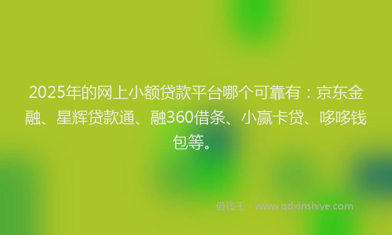 2025年的网上小额贷款平台哪个可靠有：京东金融、星辉贷款通、融360借条、小赢卡贷、哆哆钱包等。
