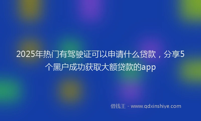 2025年热门有驾驶证可以申请什么贷款，分享5个黑户成功获取大额贷款的app