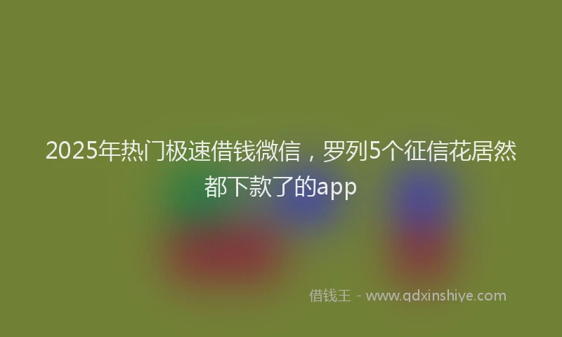 2025年热门极速借钱微信，罗列5个征信花居然都下款了的app