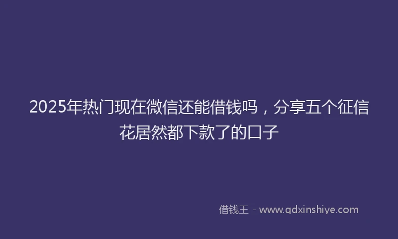 2025年热门现在微信还能借钱吗，分享五个征信花居然都下款了的口子
