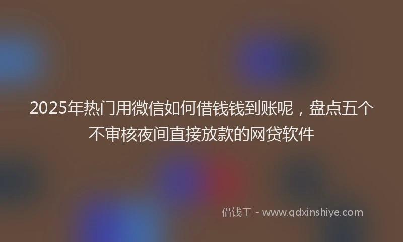 2025年热门用微信如何借钱钱到账呢，盘点五个不审核夜间直接放款的网贷软件
