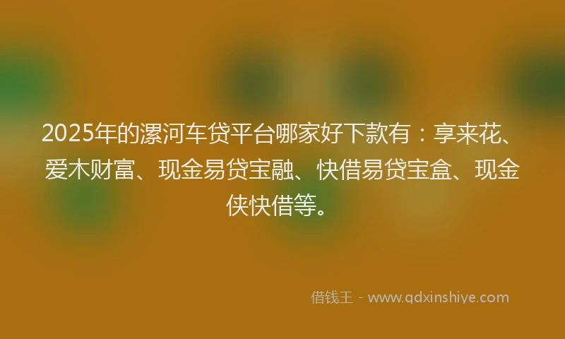 2025年的漯河车贷平台哪家好下款有：享来花、爱木财富、现金易贷宝融、快借易贷宝盒、现金侠快借等。