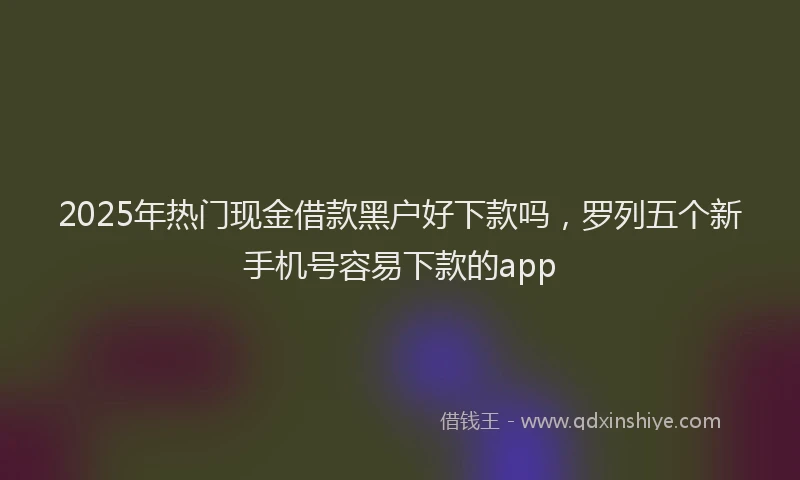 2025年热门现金借款黑户好下款吗，罗列五个新手机号容易下款的app