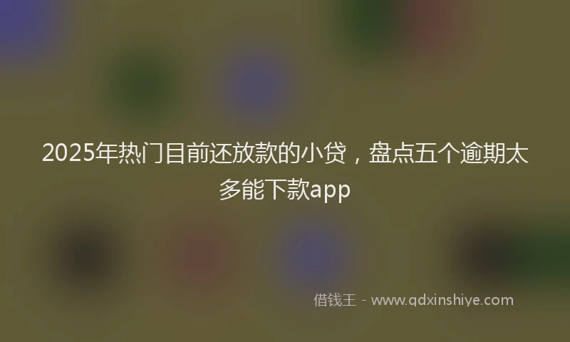 2025年热门目前还放款的小贷，盘点五个逾期太多能下款app