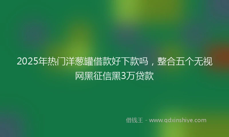 2025年热门洋葱罐借款好下款吗，整合五个无视网黑征信黑3万贷款