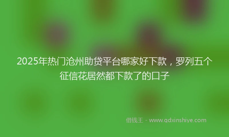 2025年热门沧州助贷平台哪家好下款，罗列五个征信花居然都下款了的口子