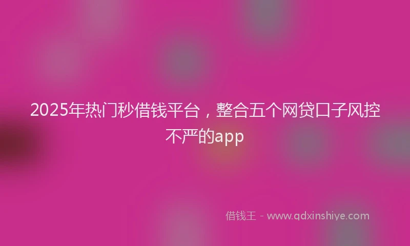 2025年热门秒借钱平台，整合五个网贷口子风控不严的app
